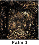 Palm 1
