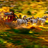 11-1683-Frame-33A-Copyright_Steve_Thornton