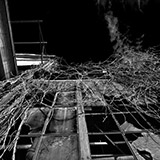 S-1746-187-BW-Copyright_Steve_Thornton