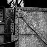 S-1746-202-BW-Copyright_Steve_Thornton