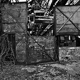 S-1746-317-BW-Copyright_Steve_Thornton