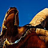 S-1308-158-Copyright_Steve_Thornton